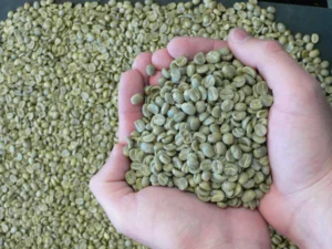 Arabica Beans