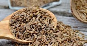 Caraway Seed