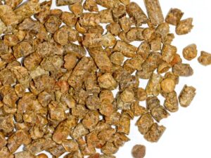 Citrus Pulp Pellets