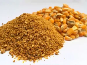 Dried Distillers Grains with Solubles (DDGS)