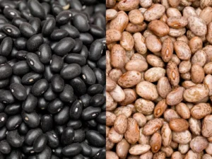 Pinto Beans