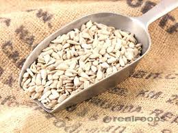 Sunflower Seed Dehulled