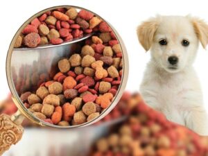 Animal Feed & Pet Food